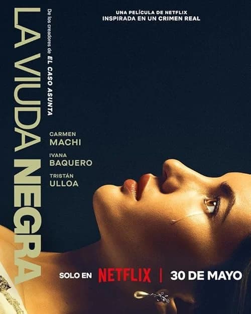 A Widow's Game film posteri