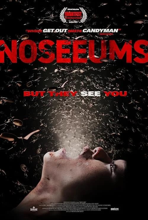 No-See-Ums film posteri