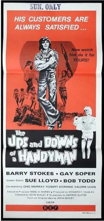 The Ups and Downs of a Handyman film posteri